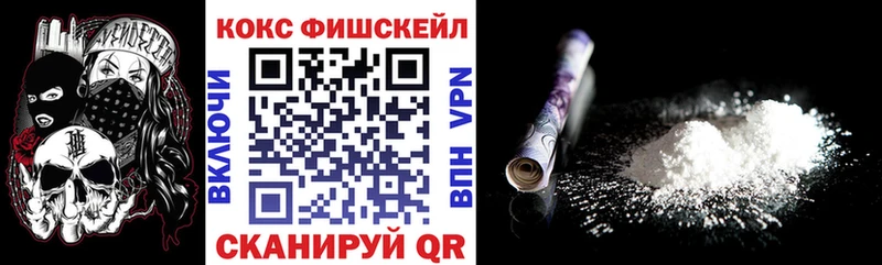 Cocaine FishScale  Купить закладки  Злынка 