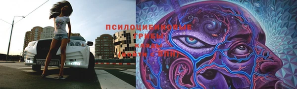 соль ск Ладушкин