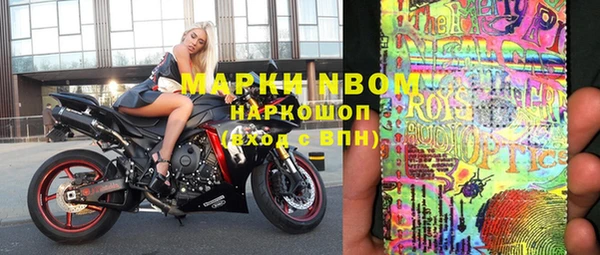 индика Лагань