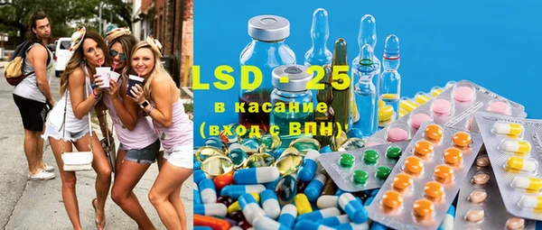 индика Лагань