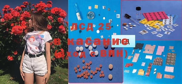 соль ск Ладушкин
