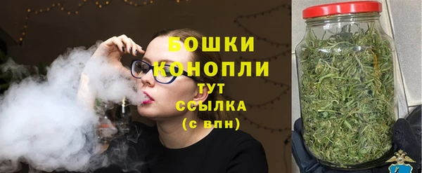 индика Лагань