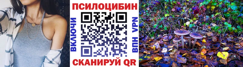 Купить закладки  Злынка  Псилоцибиновые грибы GOLDEN TEACHER 